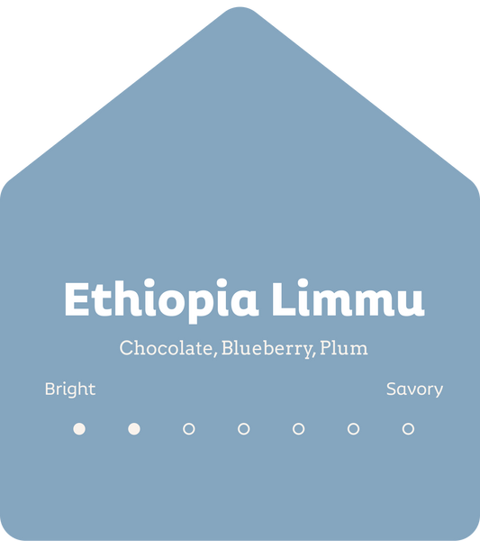 Ethiopia Limmu