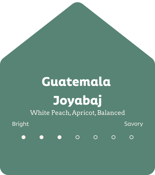 Guatemala Joyabaj